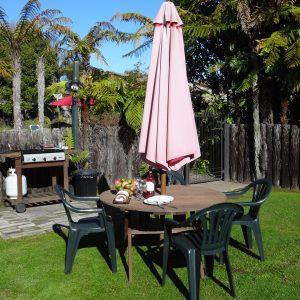 Barbecues in garden setting